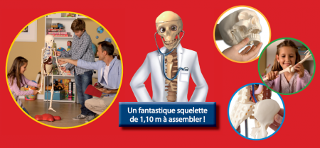 corps humain a construire avec le journal lesoir, petits livrets très simples pour apprendre